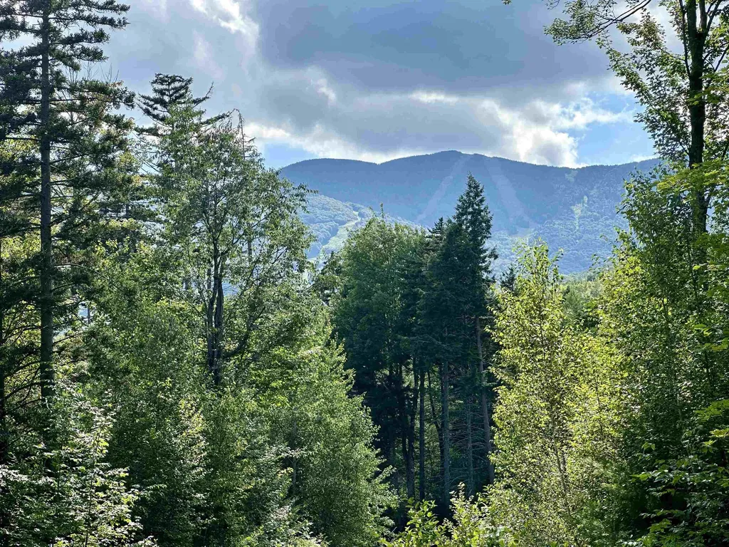 00 Knolls Road Warren VT 05674