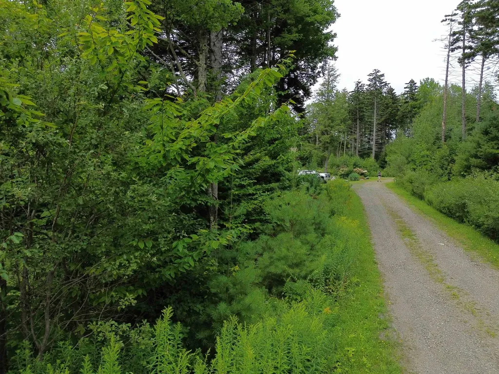 00 Knolls Road Warren VT 05674