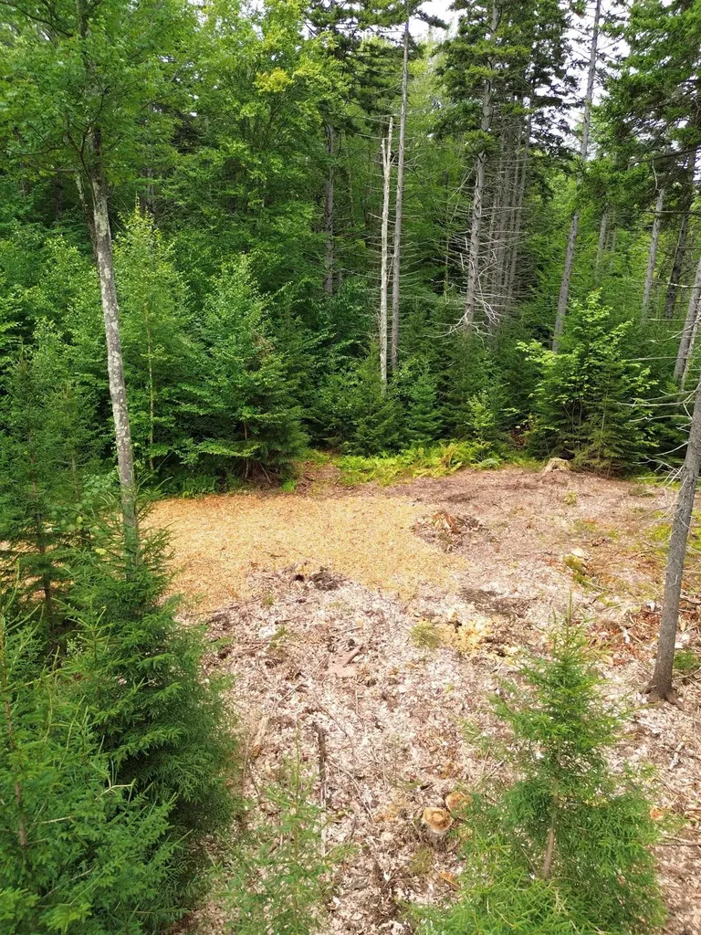 00 Knolls Road Warren VT 05674