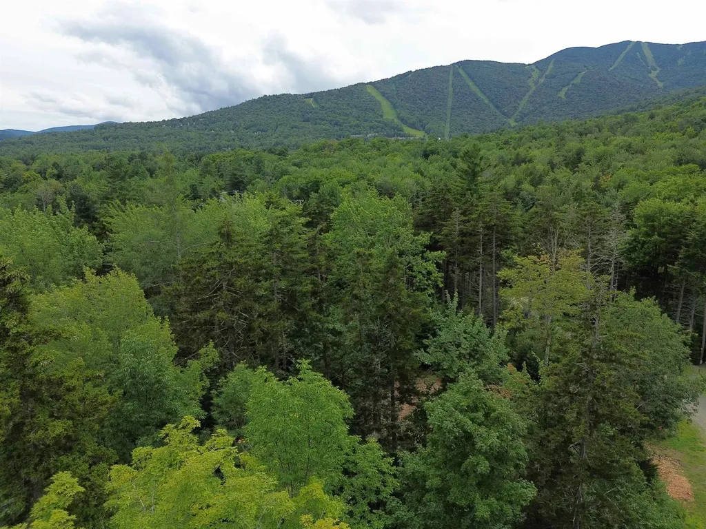 00 Knolls Road Warren VT 05674