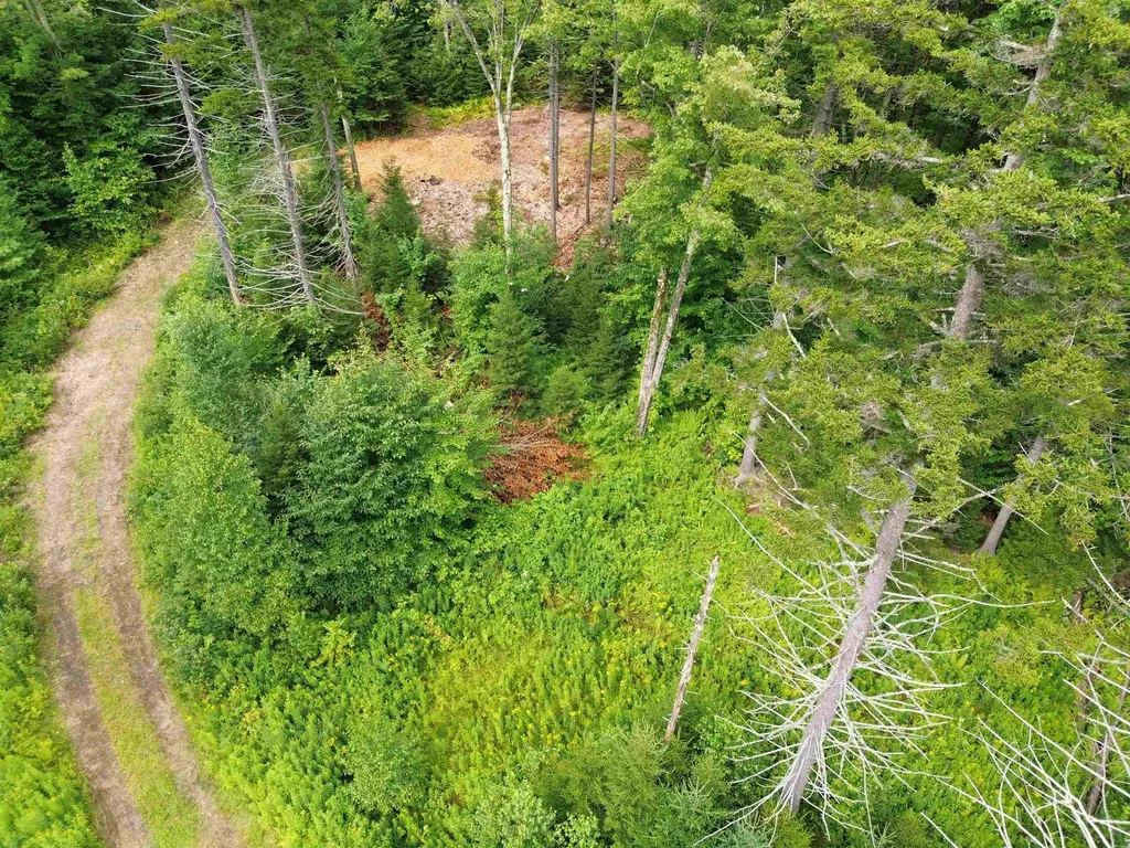 00 Knolls Road Warren VT 05674