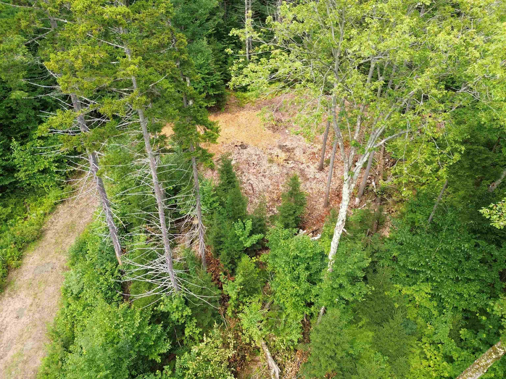 00 Knolls Road Warren VT 05674