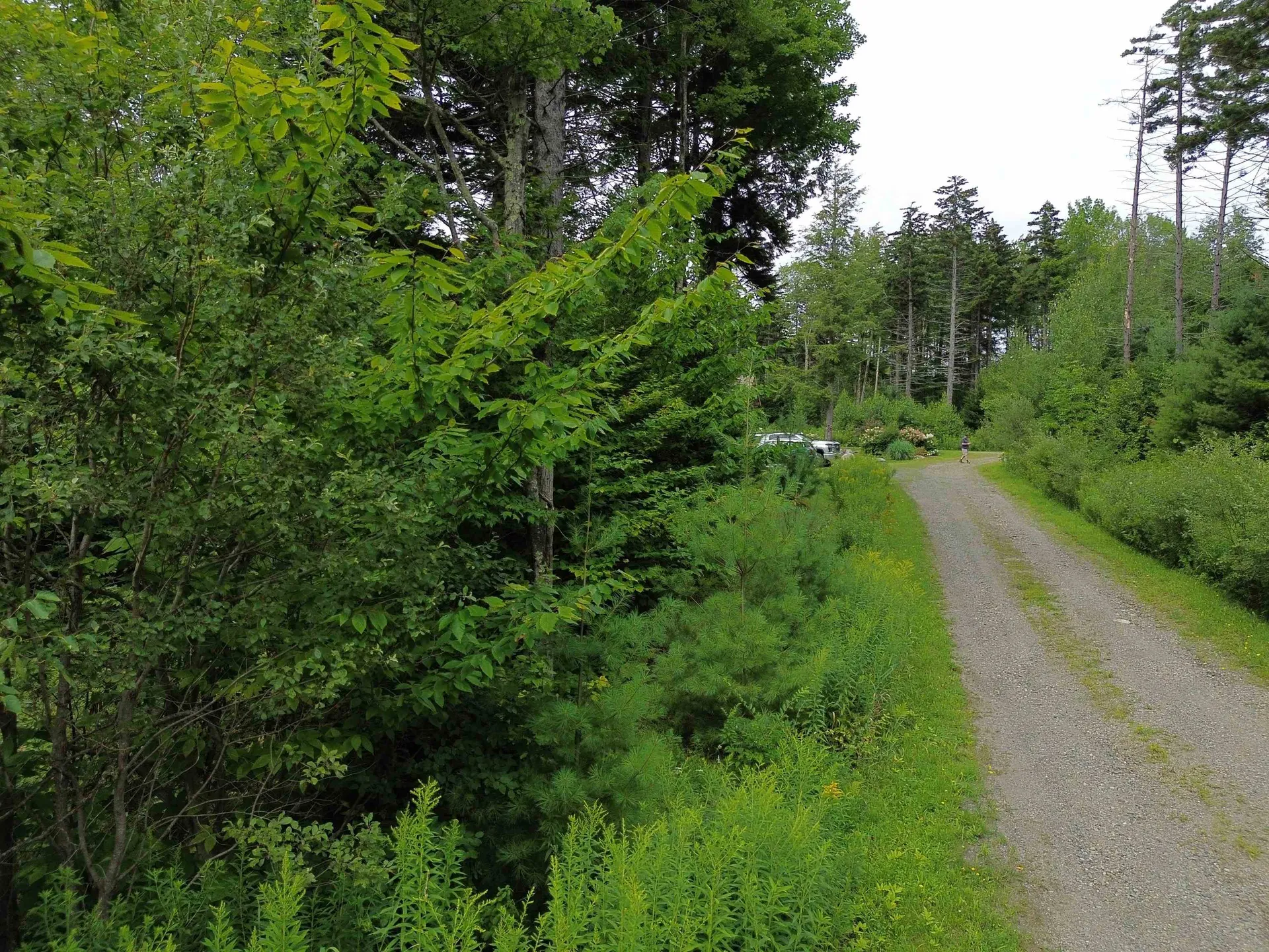 00 Knolls Road Warren VT 05674