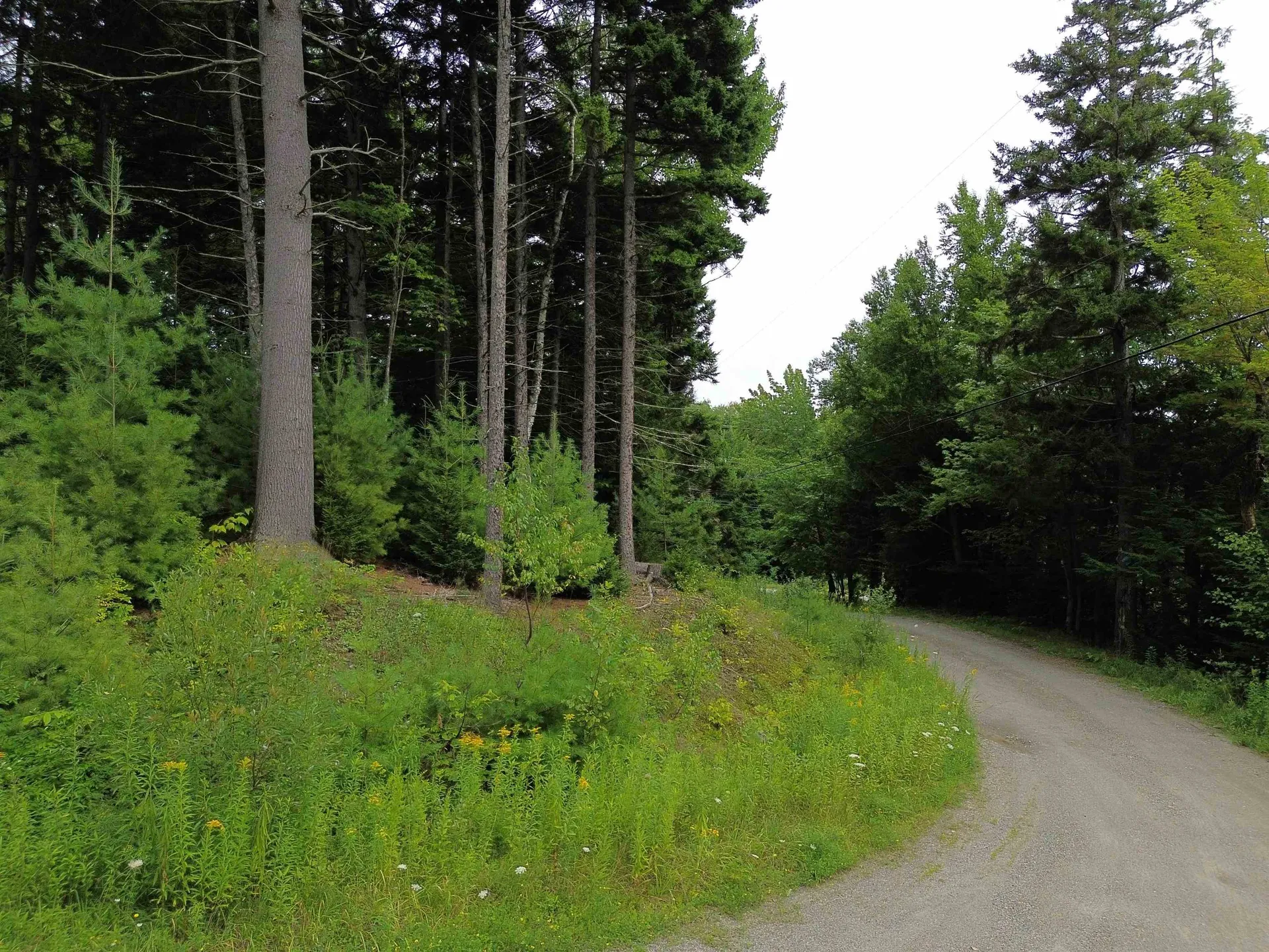 00 Knolls Road Warren VT 05674