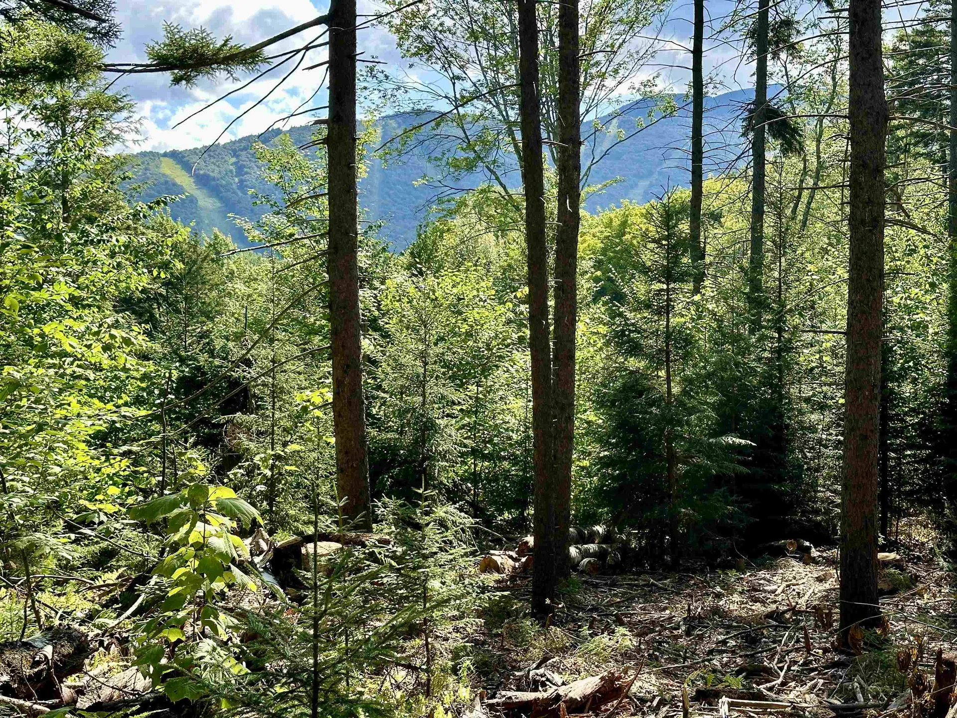 00 Knolls Road Warren VT 05674