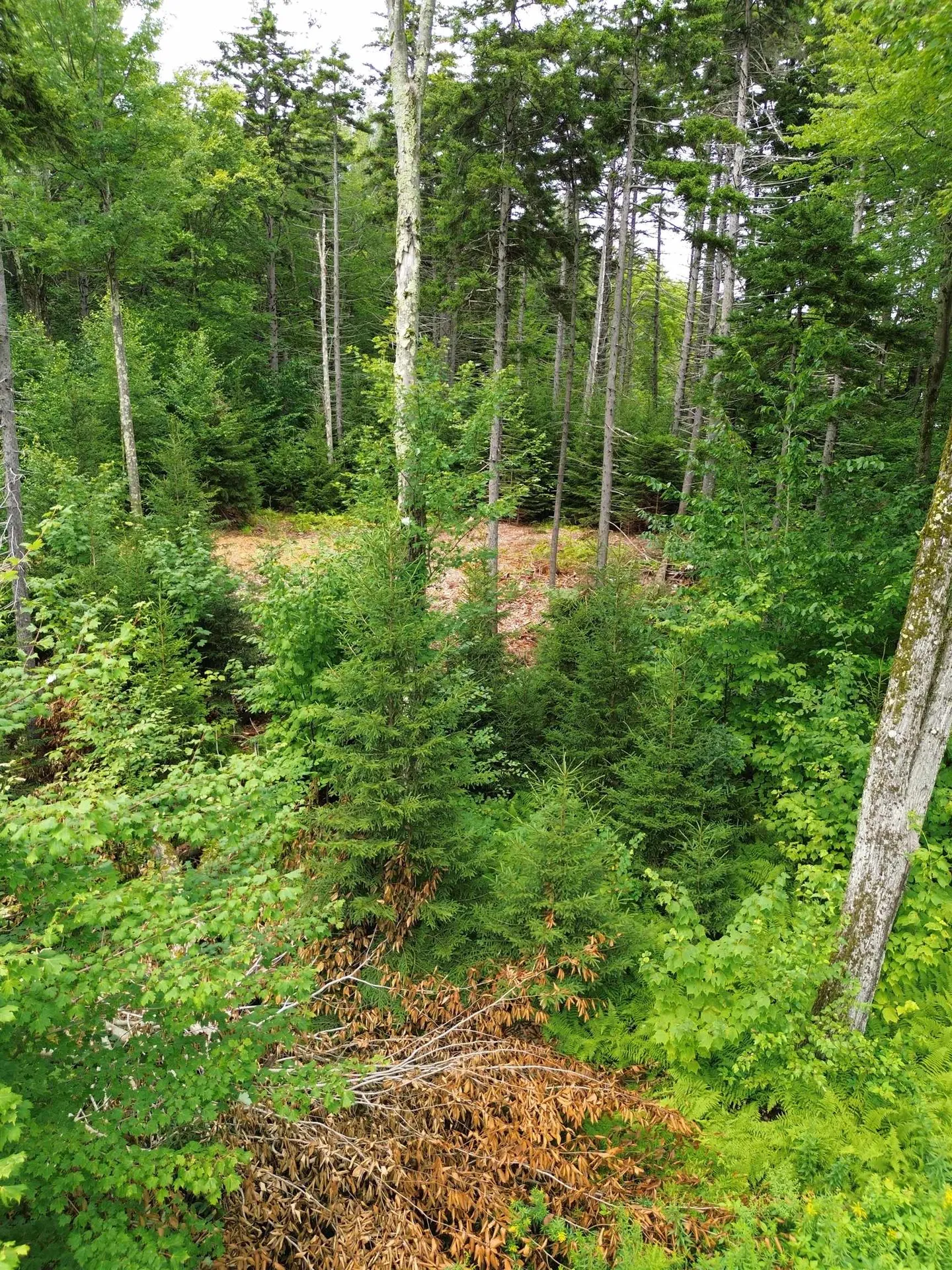 00 Knolls Road Warren VT 05674