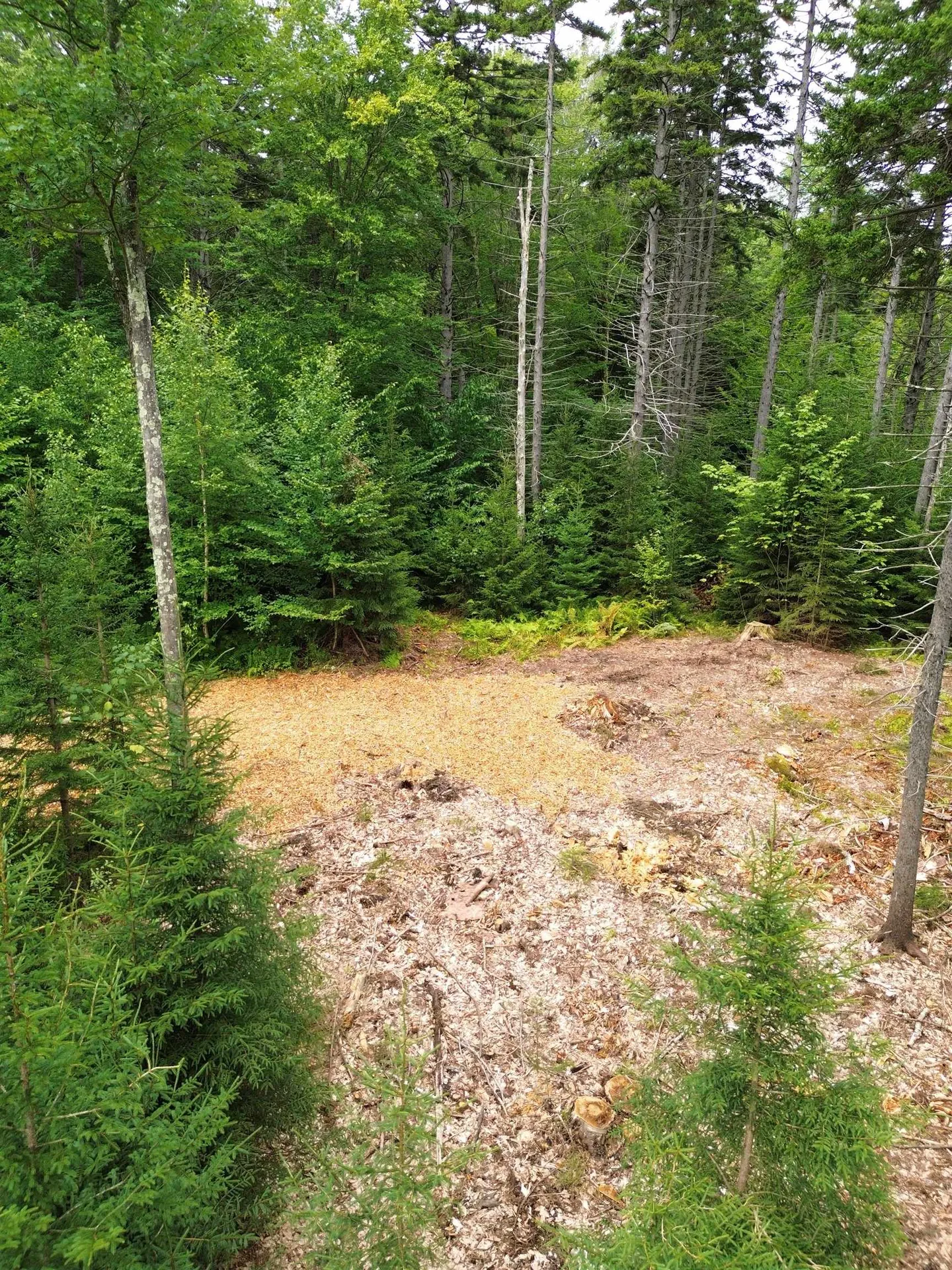 00 Knolls Road Warren VT 05674