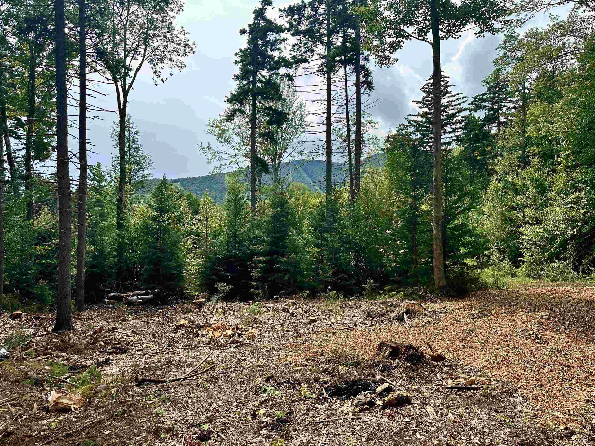 00 Knolls Road Warren VT 05674
