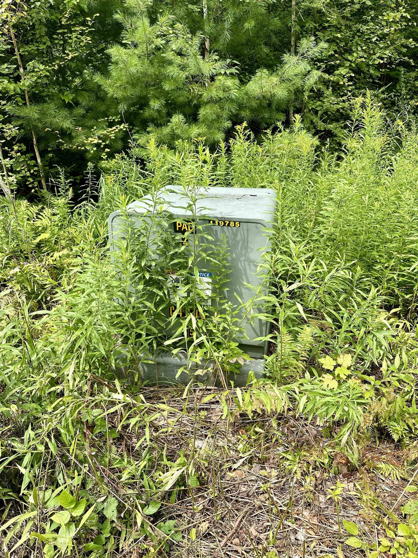 00 Knolls Road Warren VT 05674
