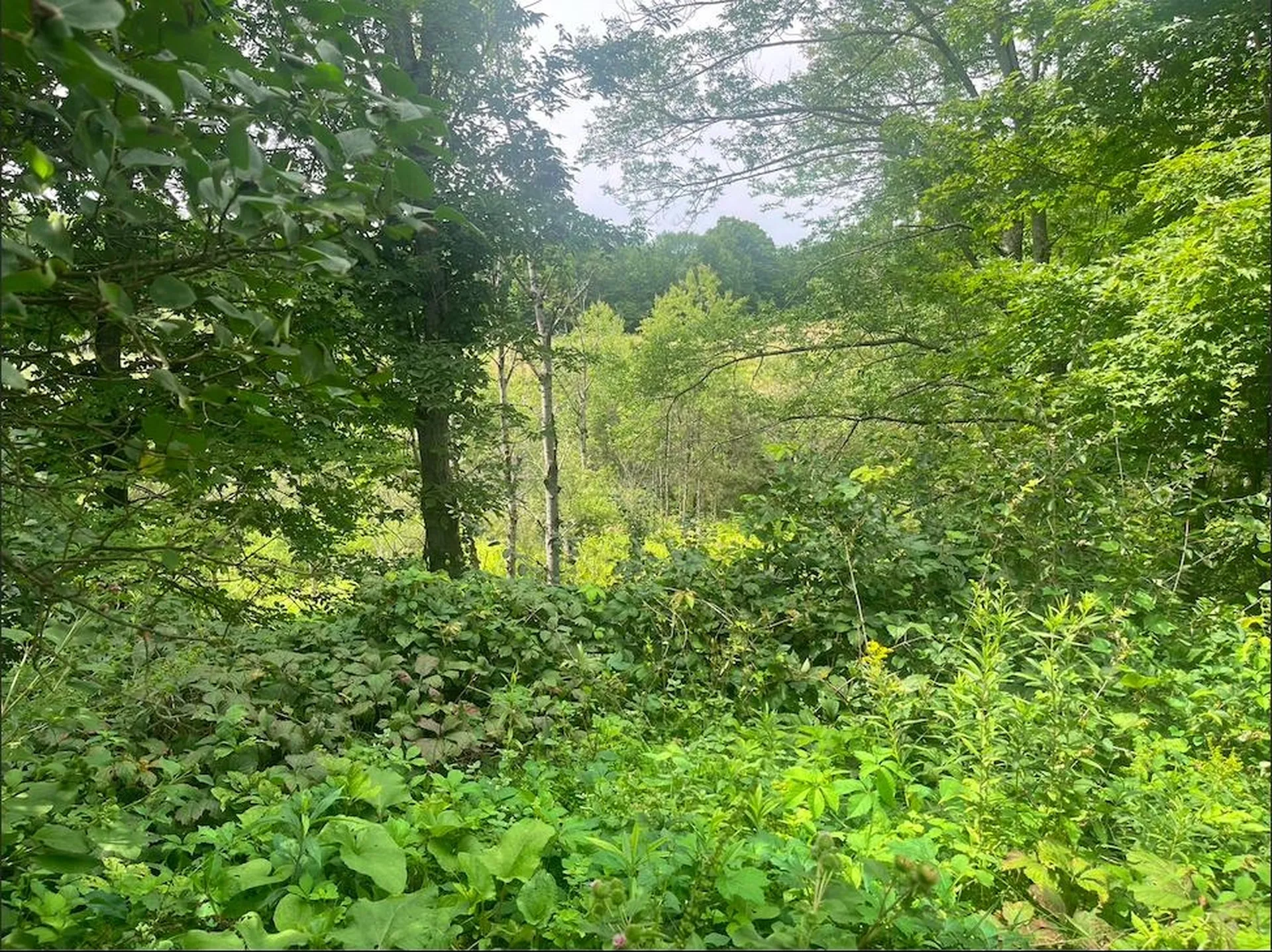 176 Osborne Road Barre Town VT 05641