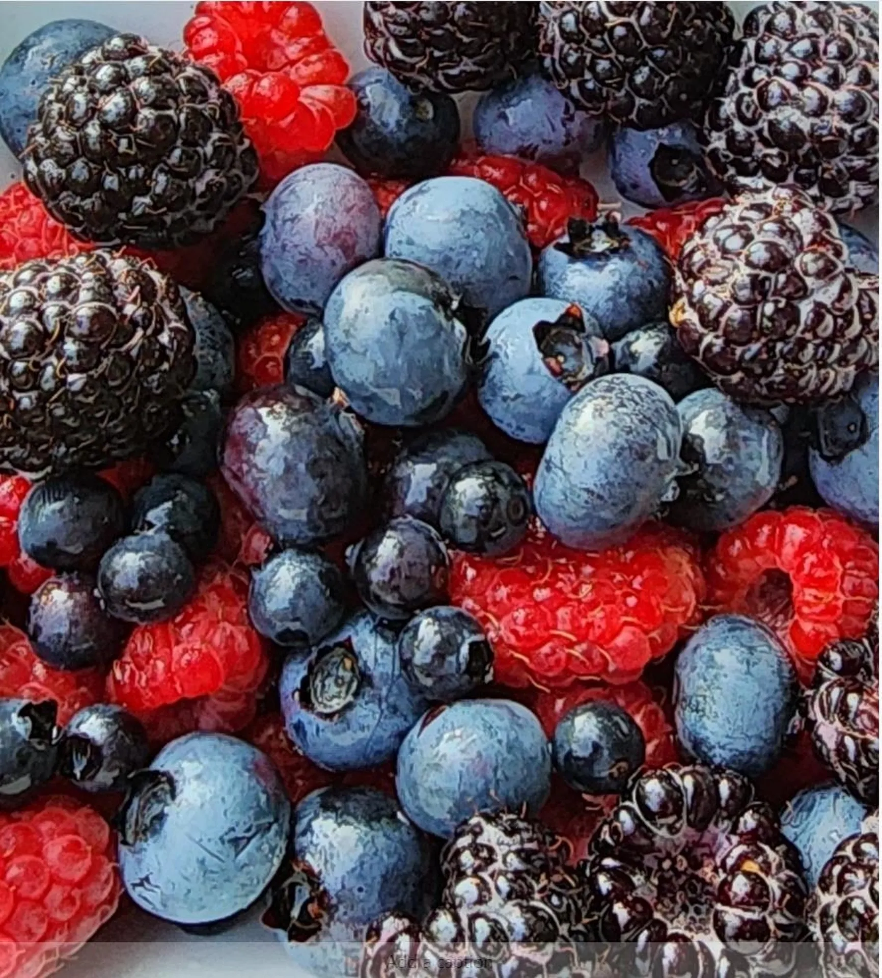 164 Cold Pond Road Acworth NH 03601