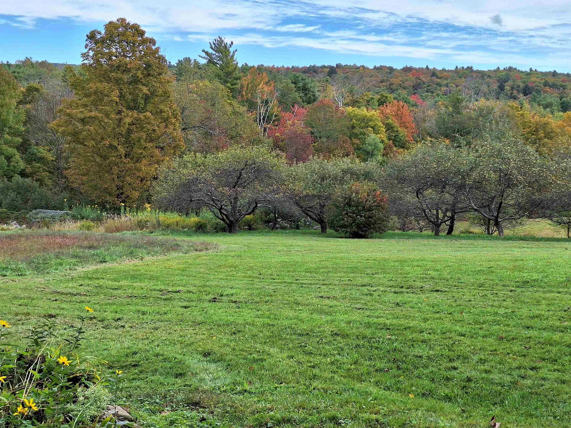 164 Cold Pond Road Acworth NH 03601