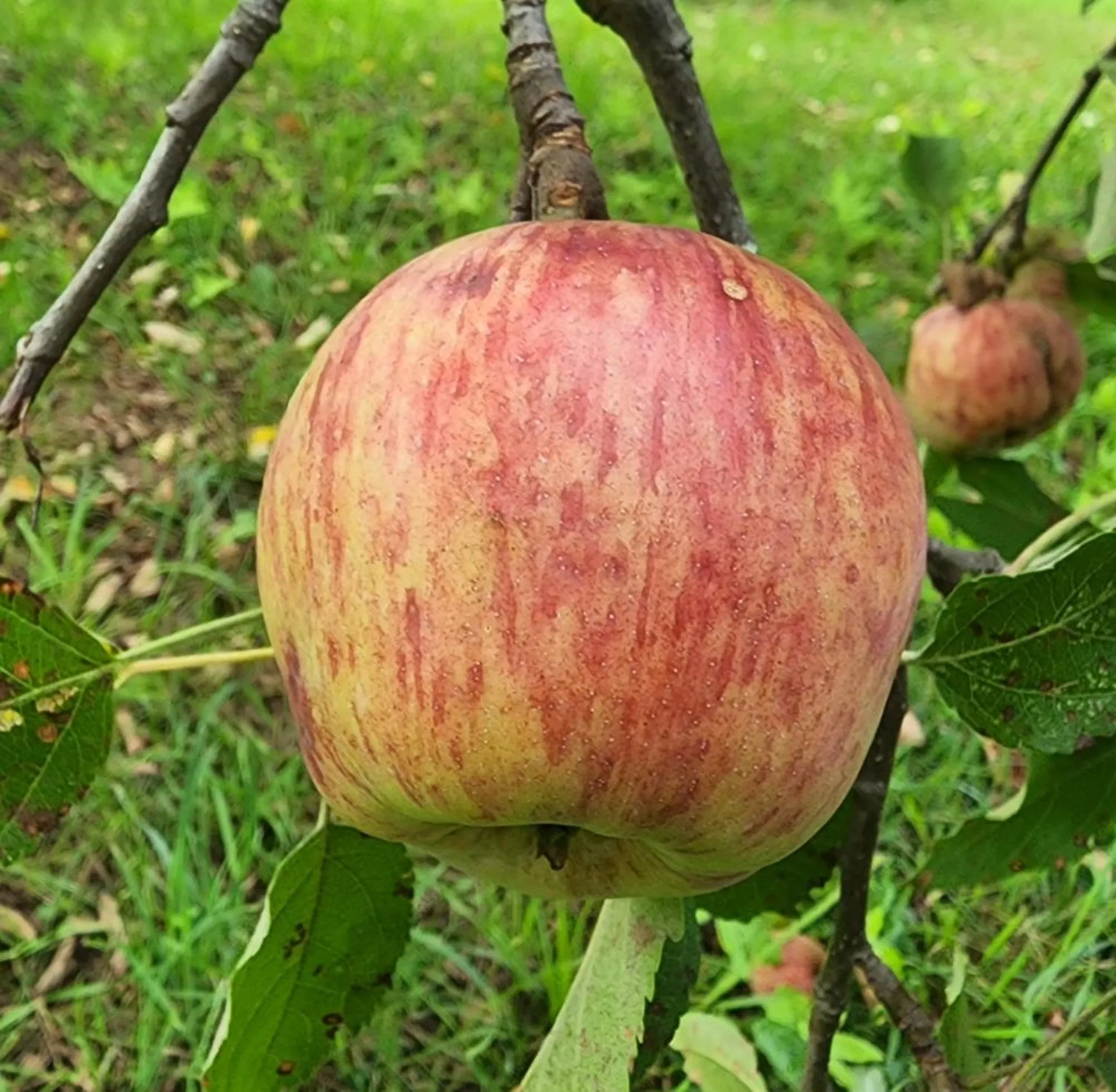 164 Cold Pond Road Acworth NH 03601