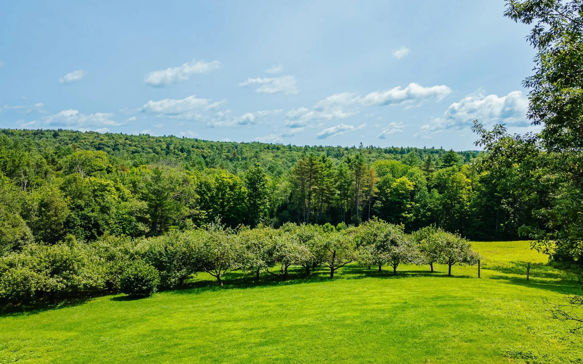 164 Cold Pond Road Acworth NH 03601