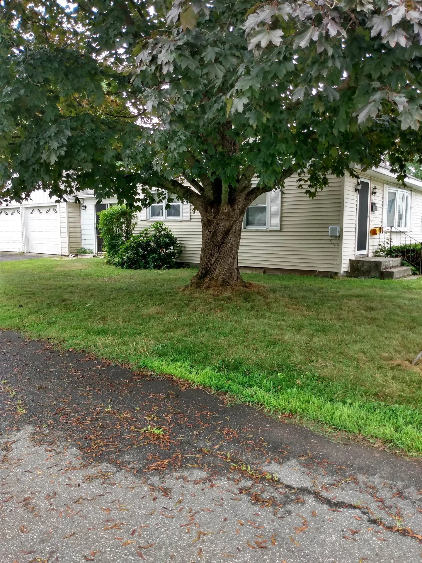 46 Moreland Avenue Brattleboro VT 05301