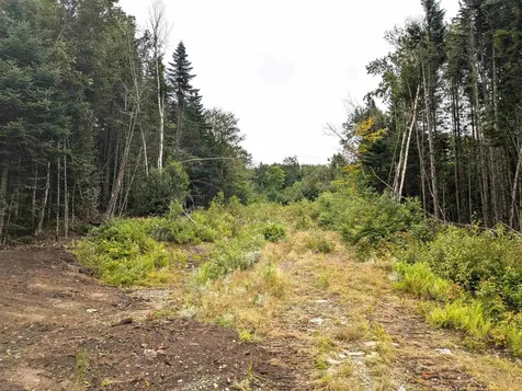 Lot 33 Goldilocks Lane Pittsburg NH 03592