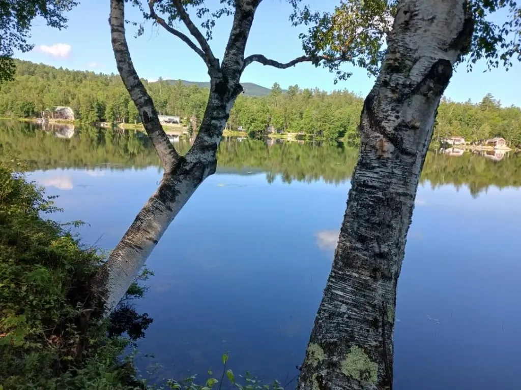 205 Overlook Road Milan NH 03588