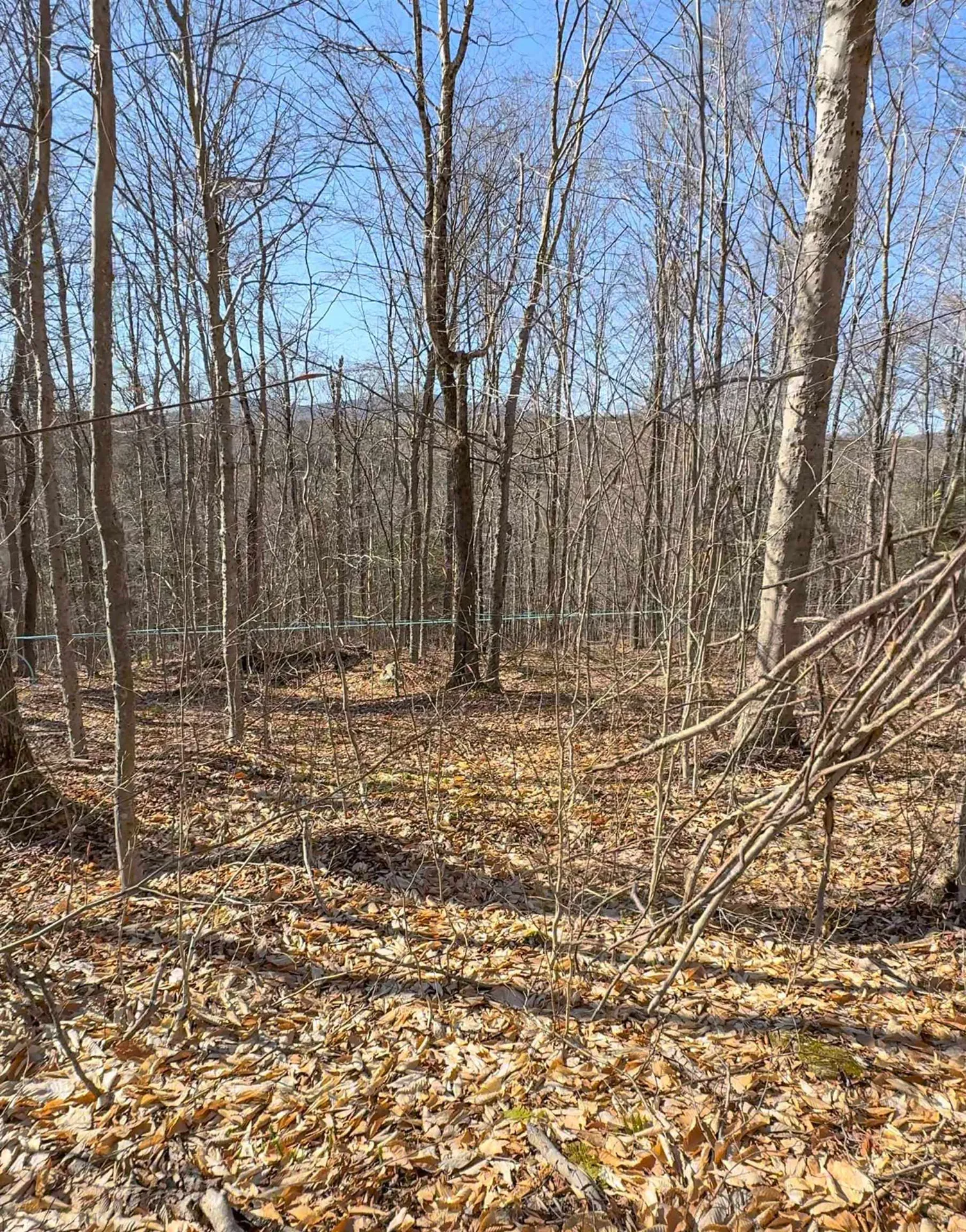 975 Stratton Arlington Road Wardsboro VT 05360