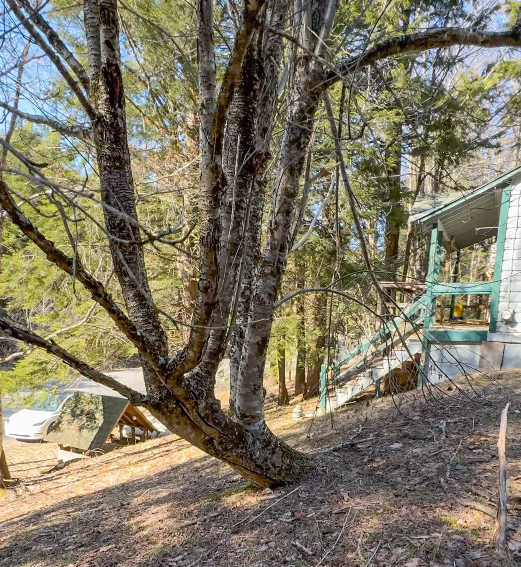 975 Stratton Arlington Road Wardsboro VT 05360