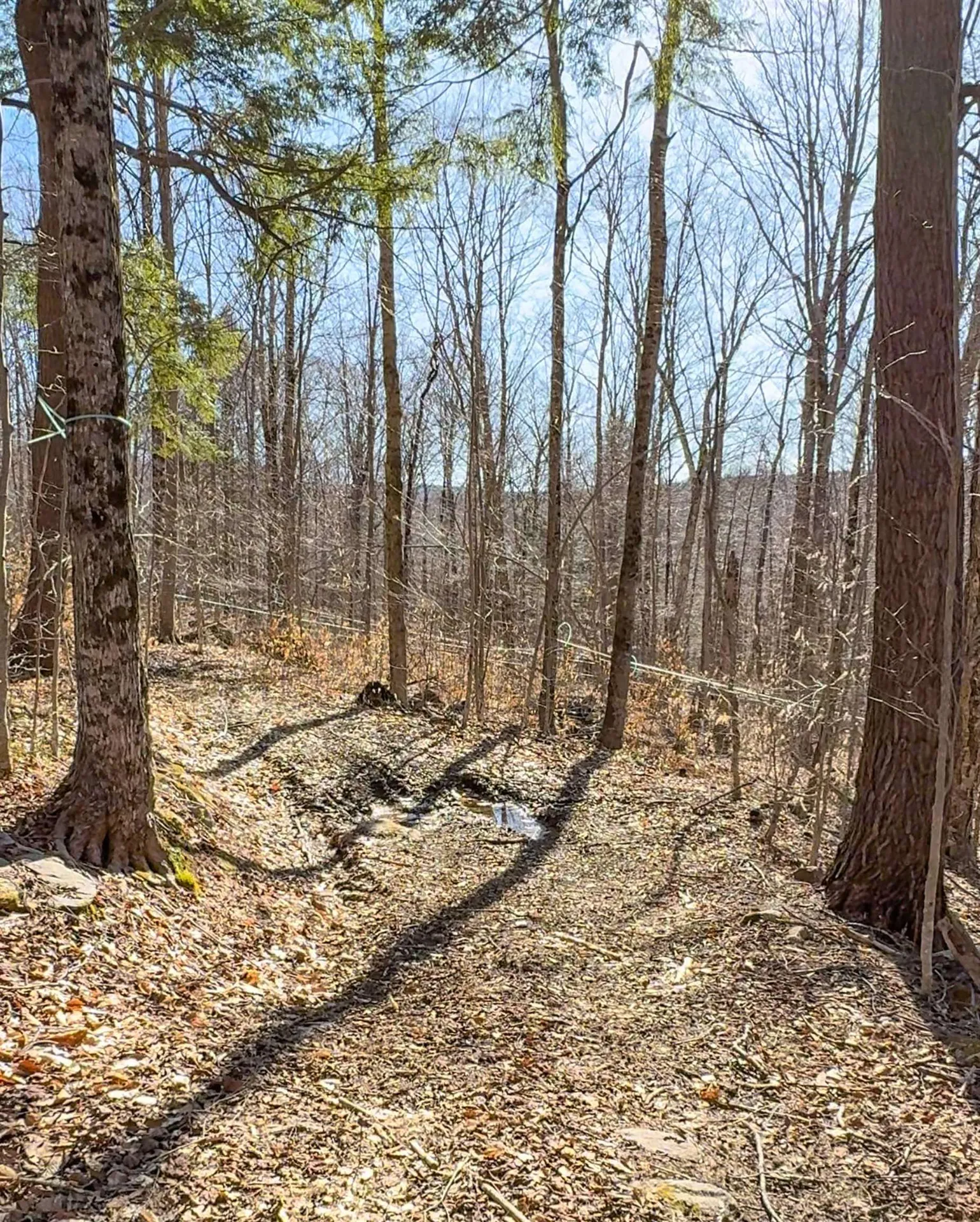 975 Stratton Arlington Road Wardsboro VT 05360