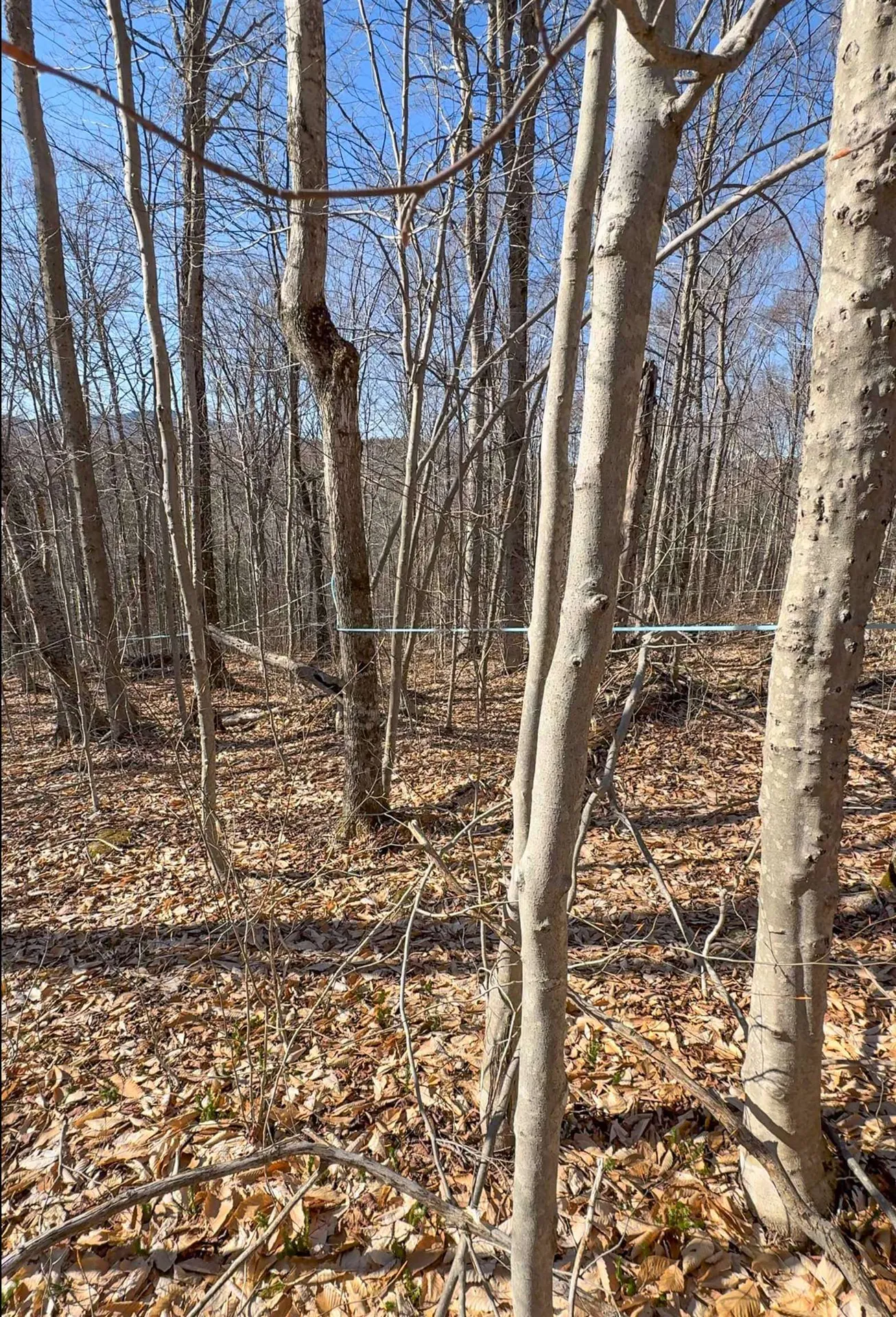 975 Stratton Arlington Road Wardsboro VT 05360