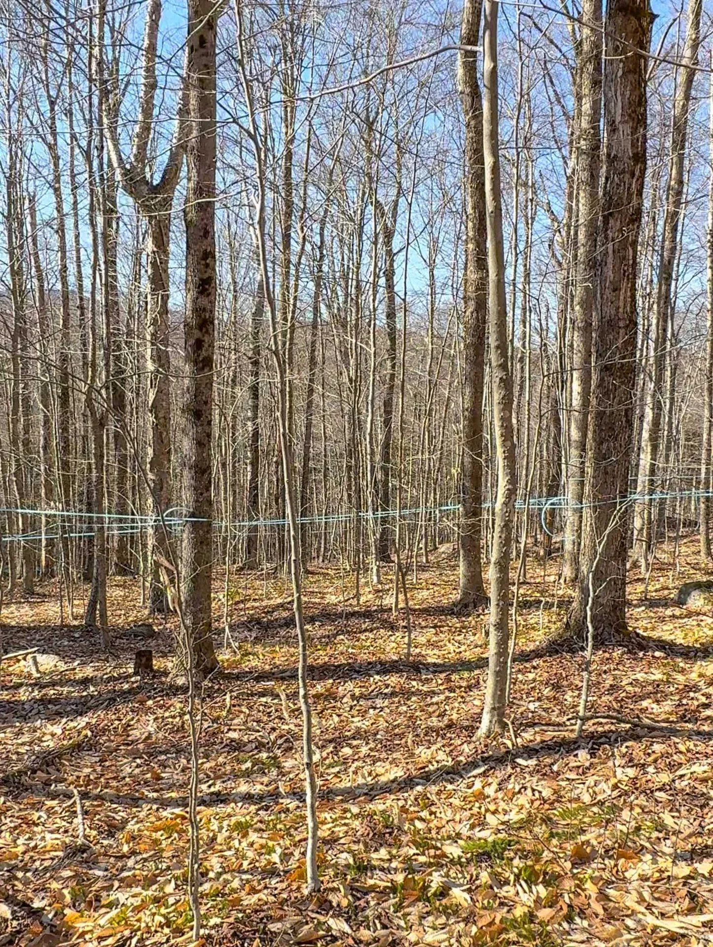 975 Stratton Arlington Road Wardsboro VT 05360