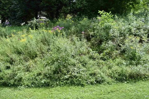 3 Marcotte Place Orleans VT 05860