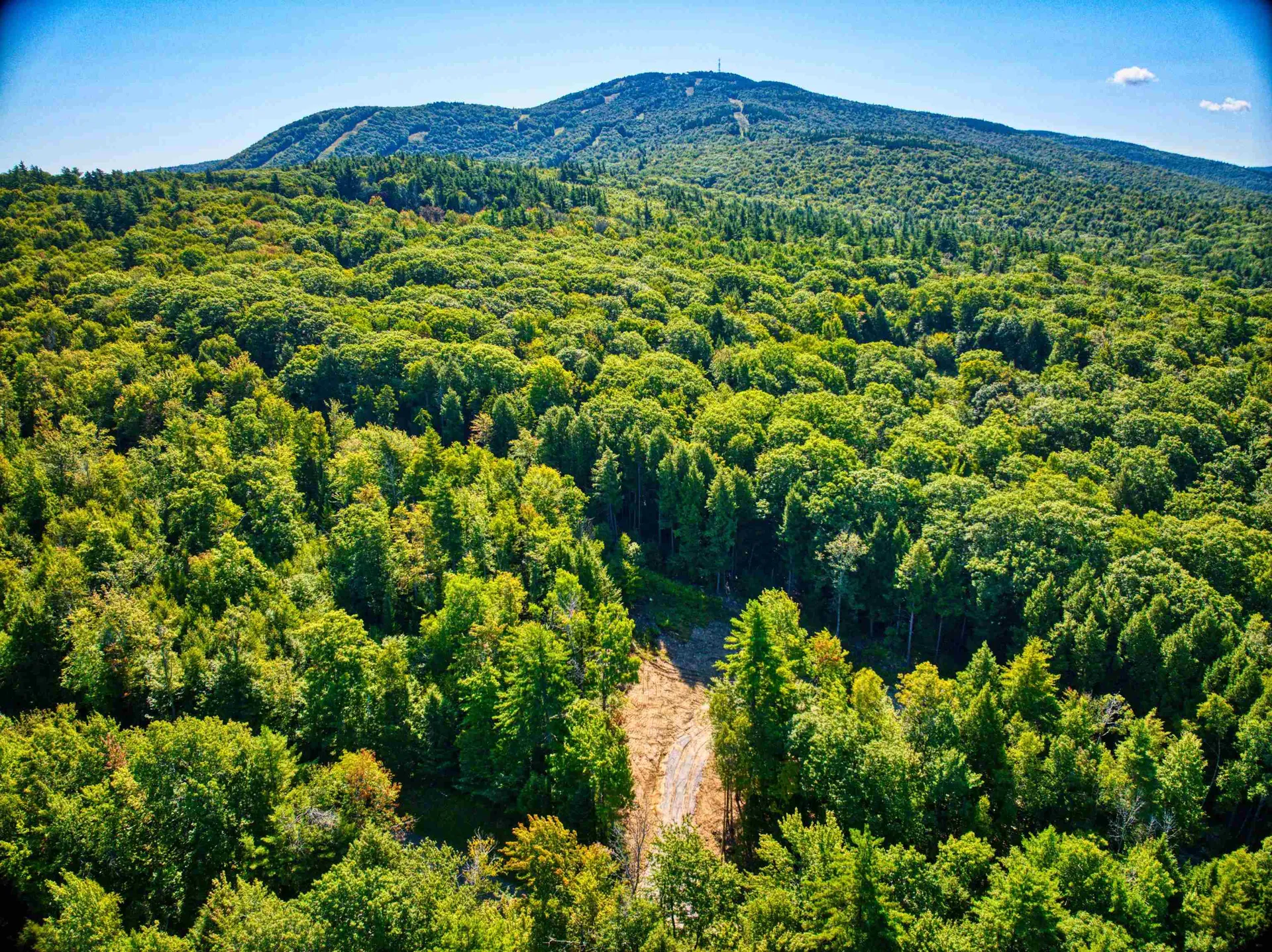 Lot 5 Pheasant Runn Road Goshen NH 03782