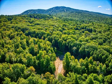 Lot 5 Pheasant Runn Road Goshen NH 03782
