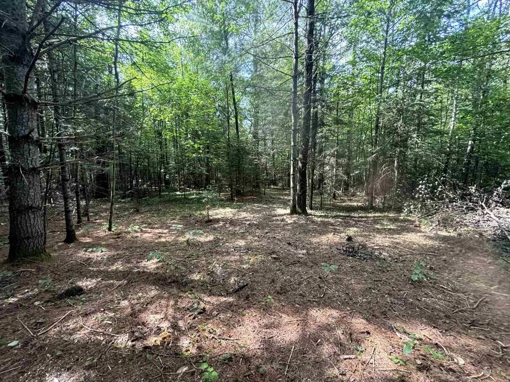 00 Gideons Mill Road Brighton VT 05846