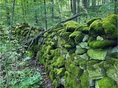 1322 Prindle Road Charlotte VT 05445