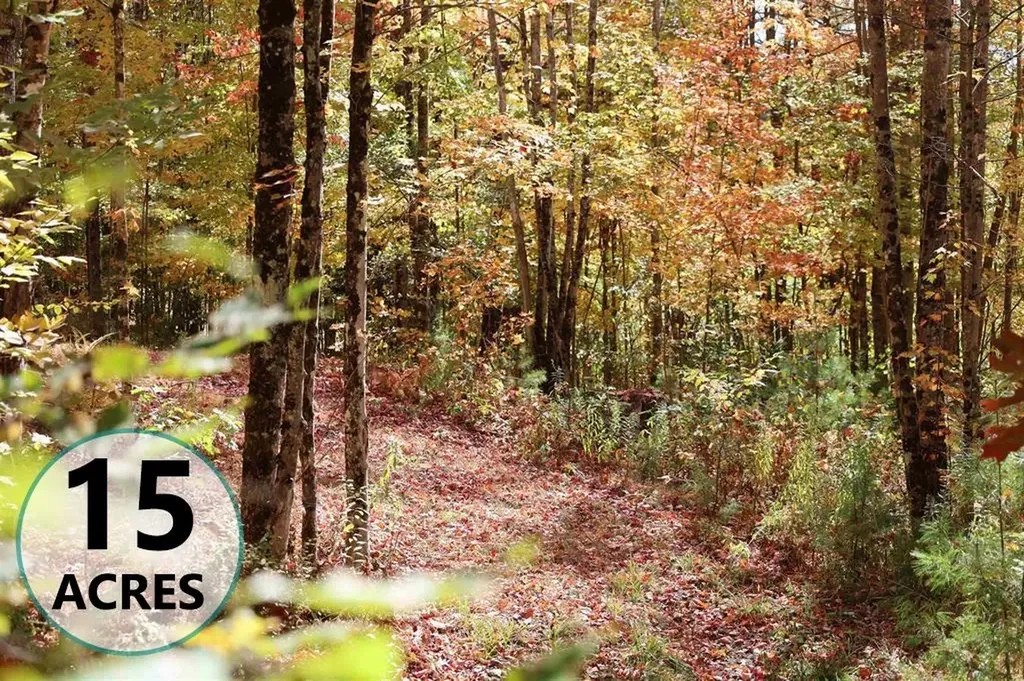 Row Off Daniels Farm Road Waterford VT 05819