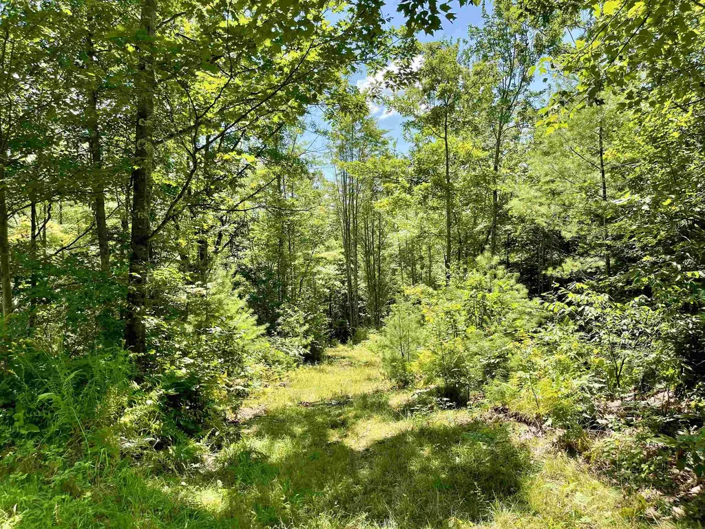 Row Off Daniels Farm Road Waterford VT 05819