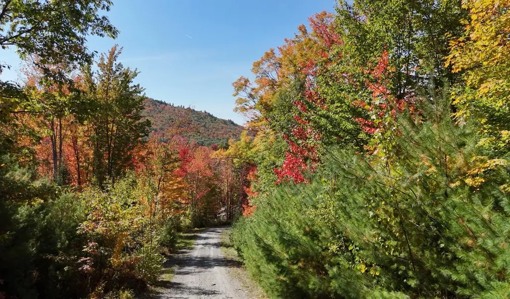 Row Off Daniels Farm Road Waterford VT 05819