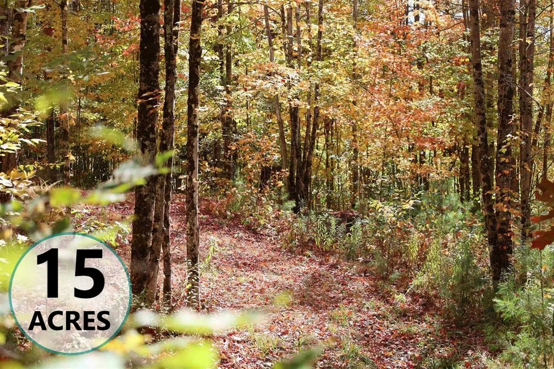 Row Off Daniels Farm Road Waterford VT 05819