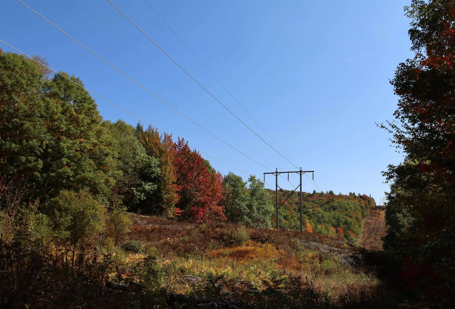 Row Off Daniels Farm Road Waterford VT 05819