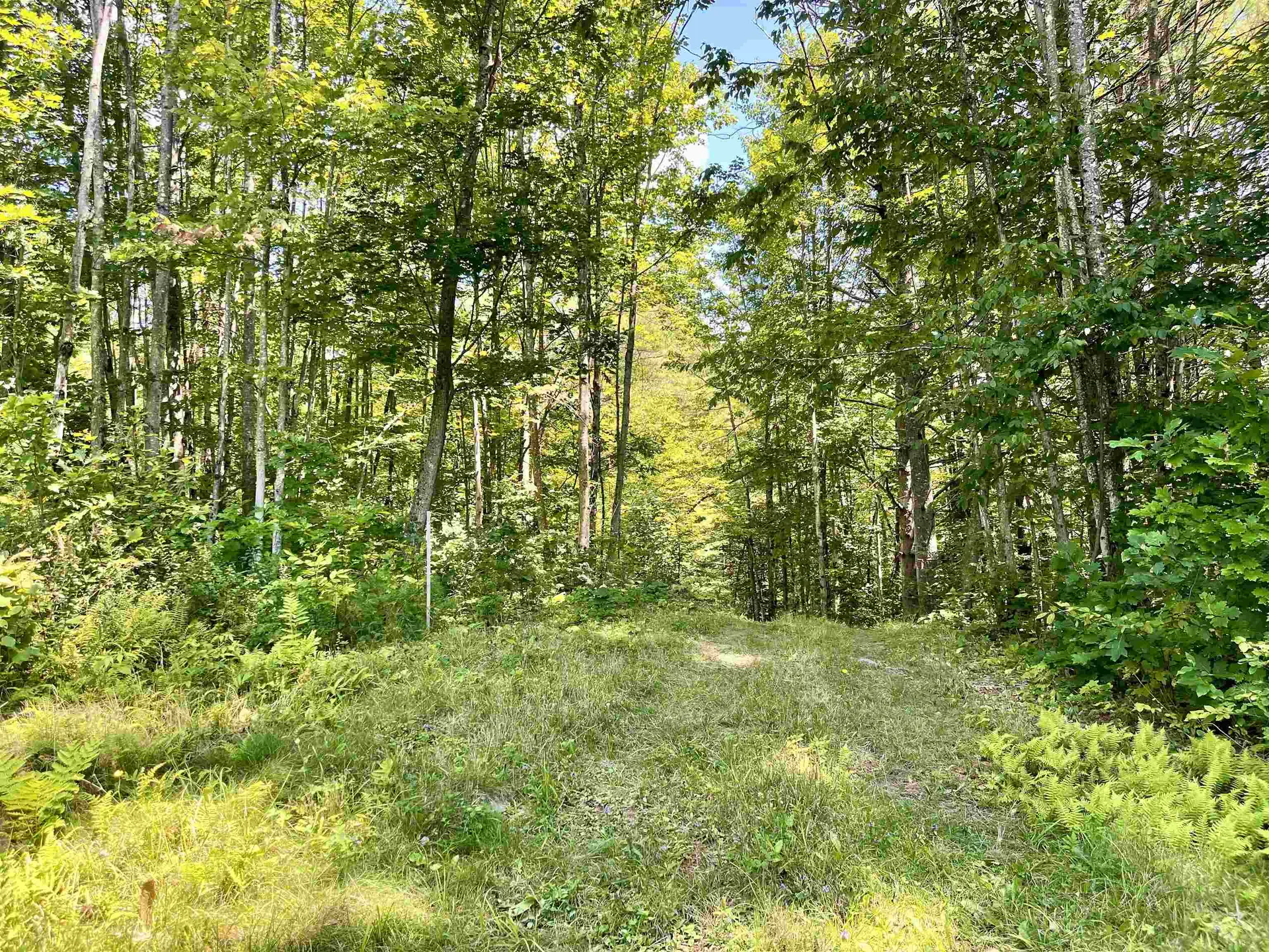 Row Off Daniels Farm Road Waterford VT 05819