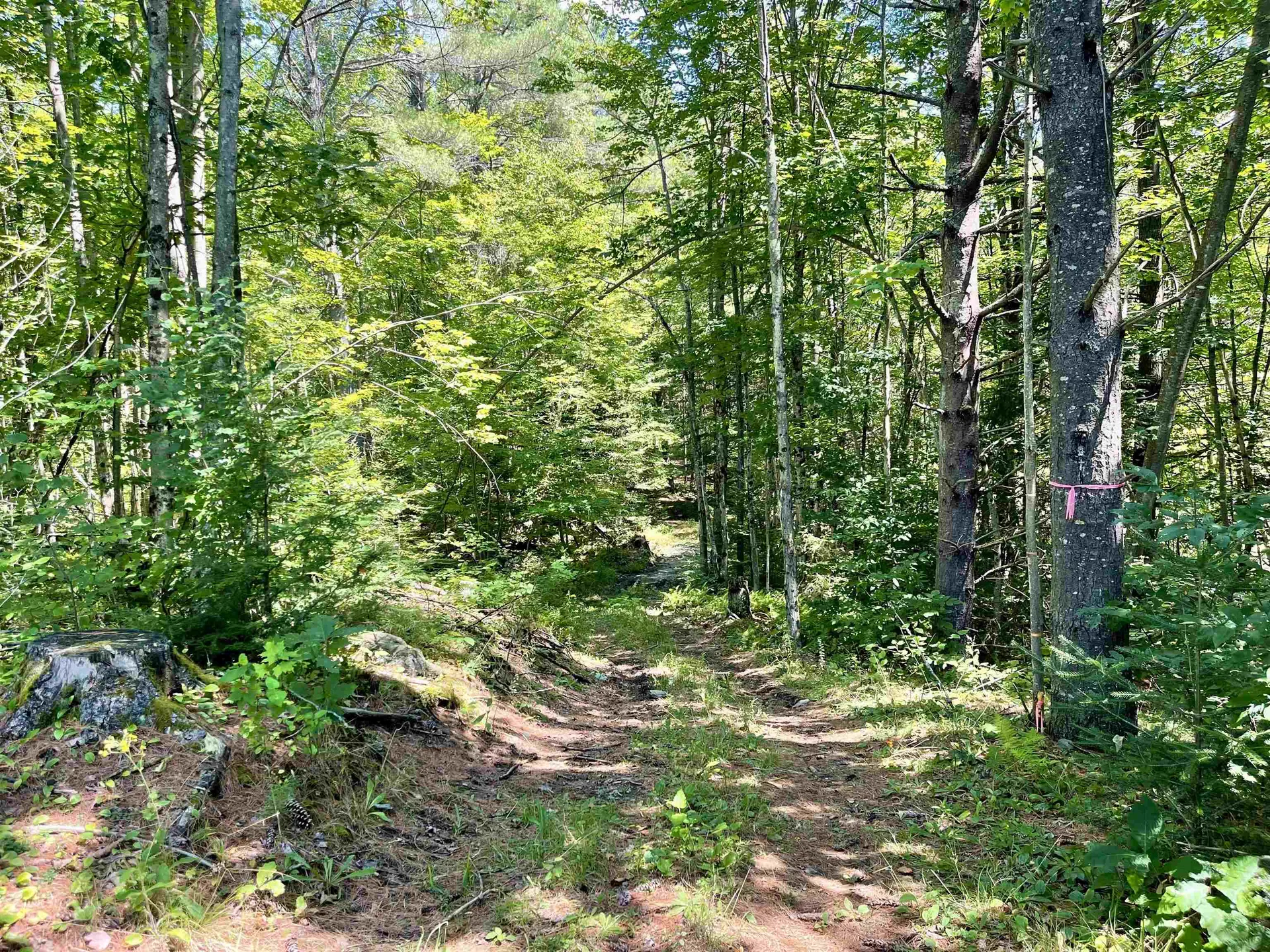 Row Off Daniels Farm Road Waterford VT 05819