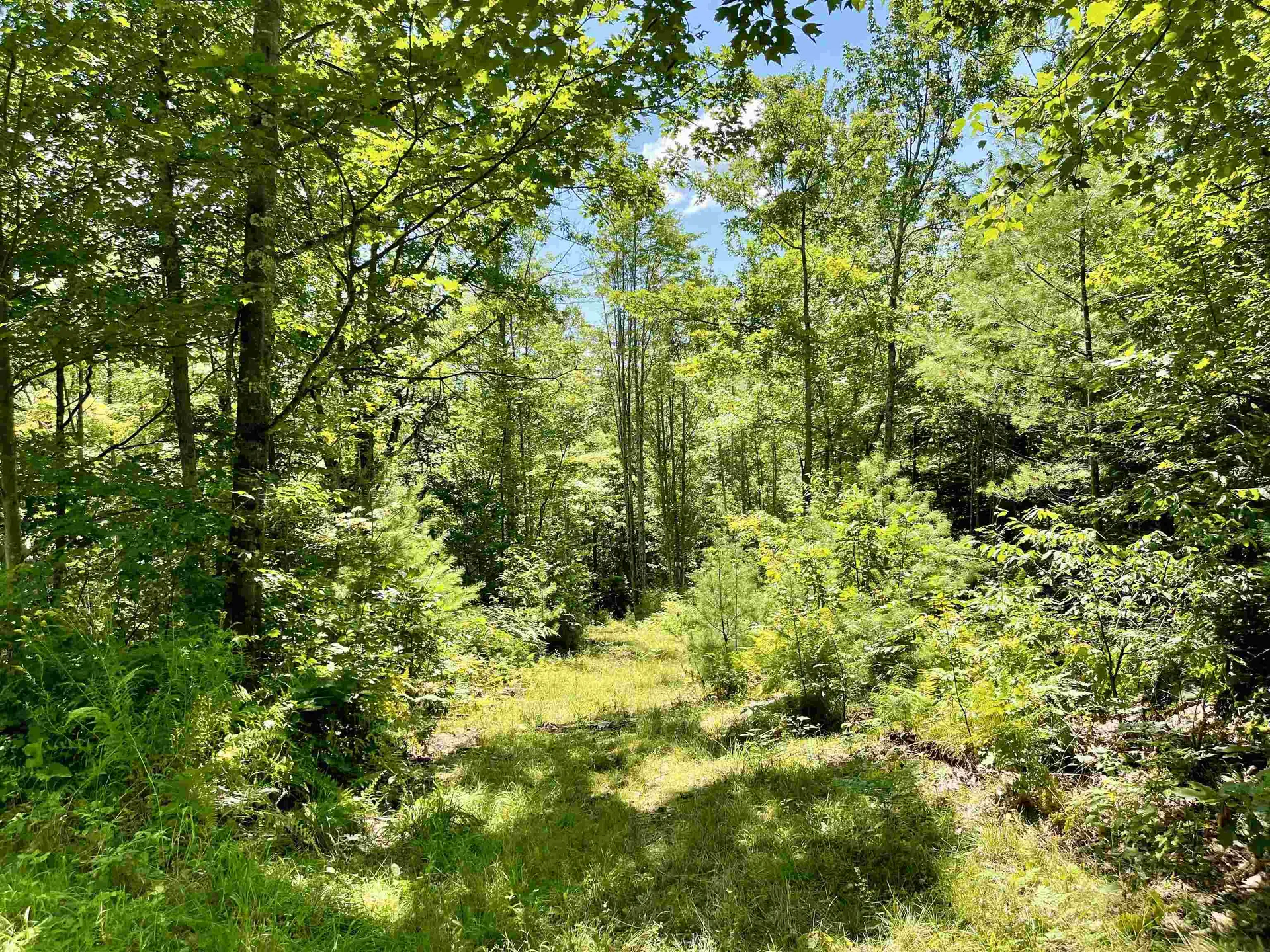 Row Off Daniels Farm Road Waterford VT 05819