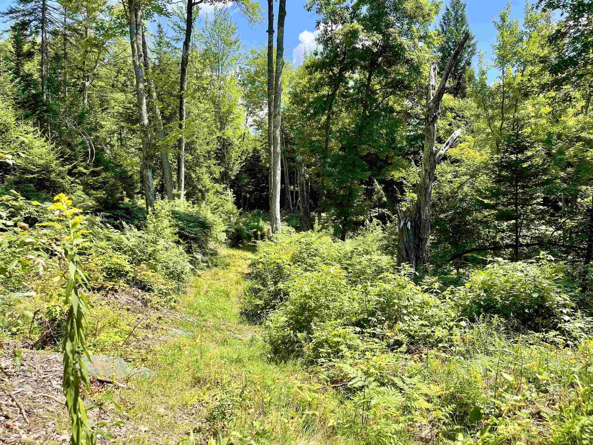 Row Off Daniels Farm Road Waterford VT 05819