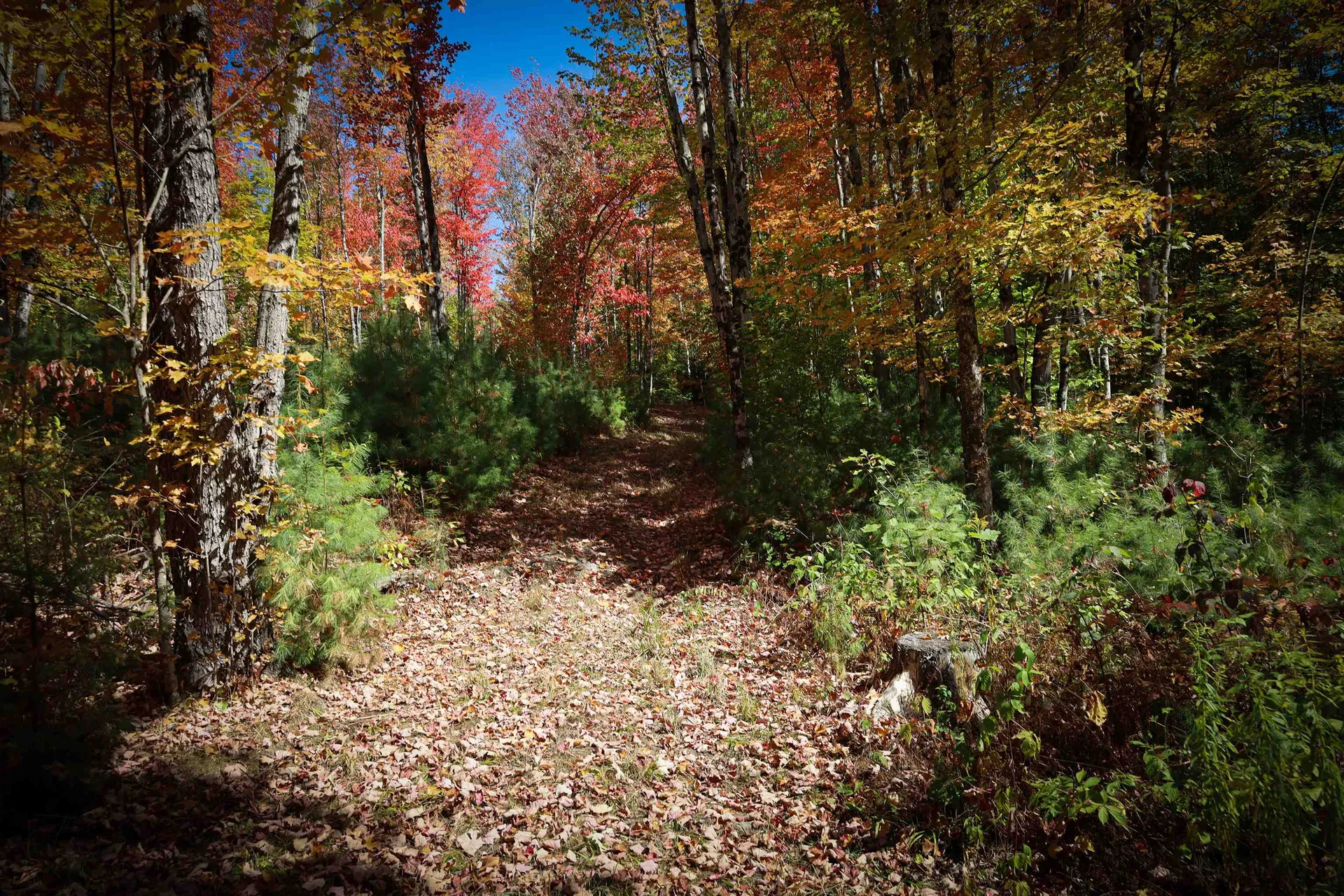 Row Off Daniels Farm Road Waterford VT 05819