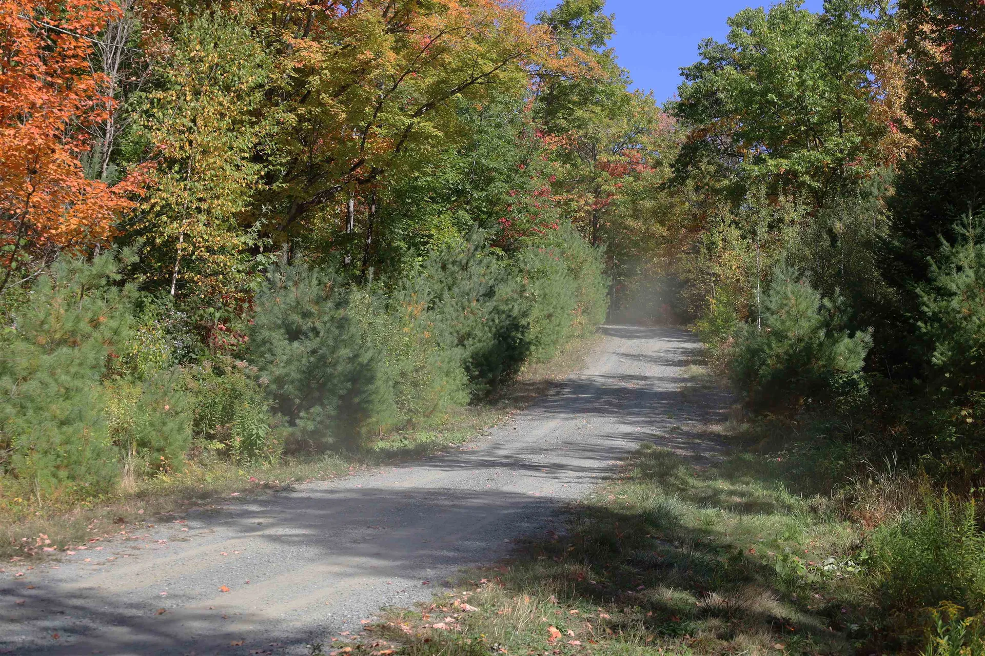 Row Off Daniels Farm Road Waterford VT 05819