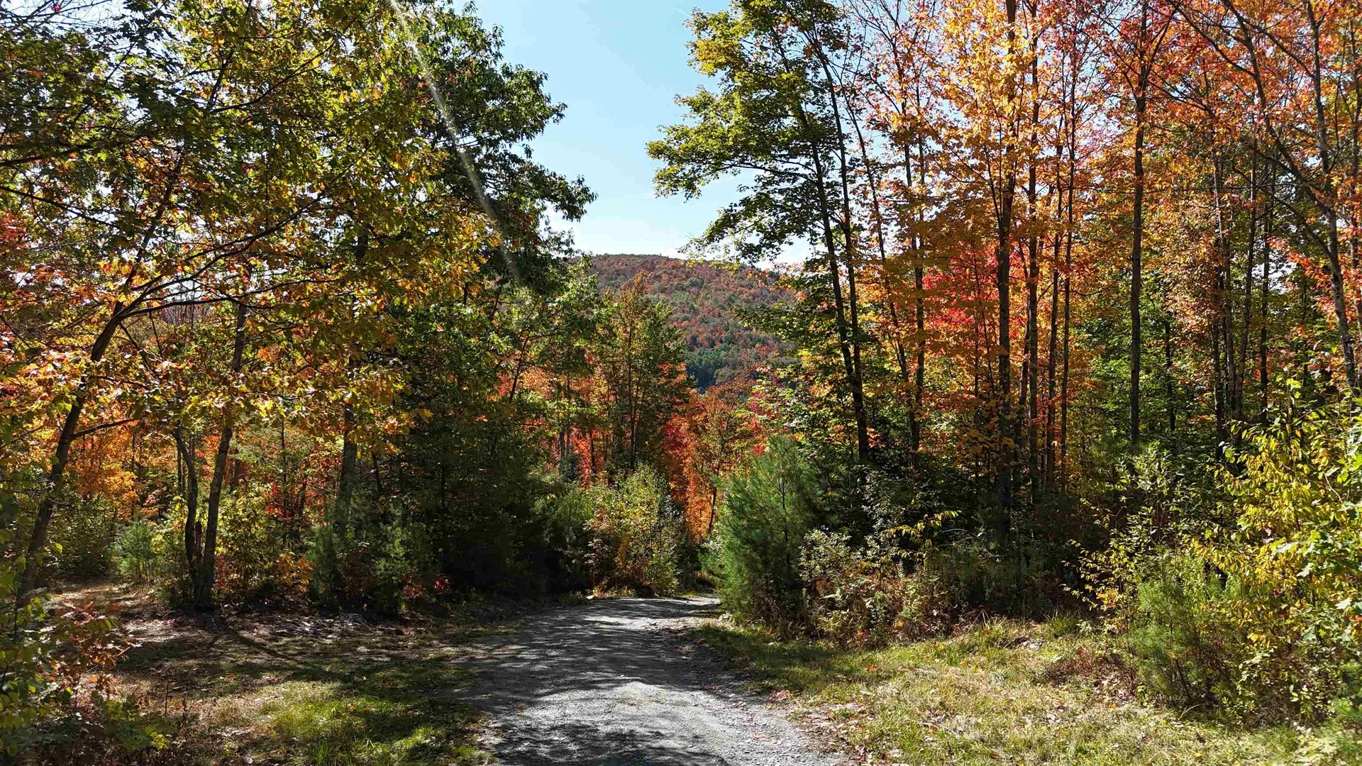 Row Off Daniels Farm Road Waterford VT 05819