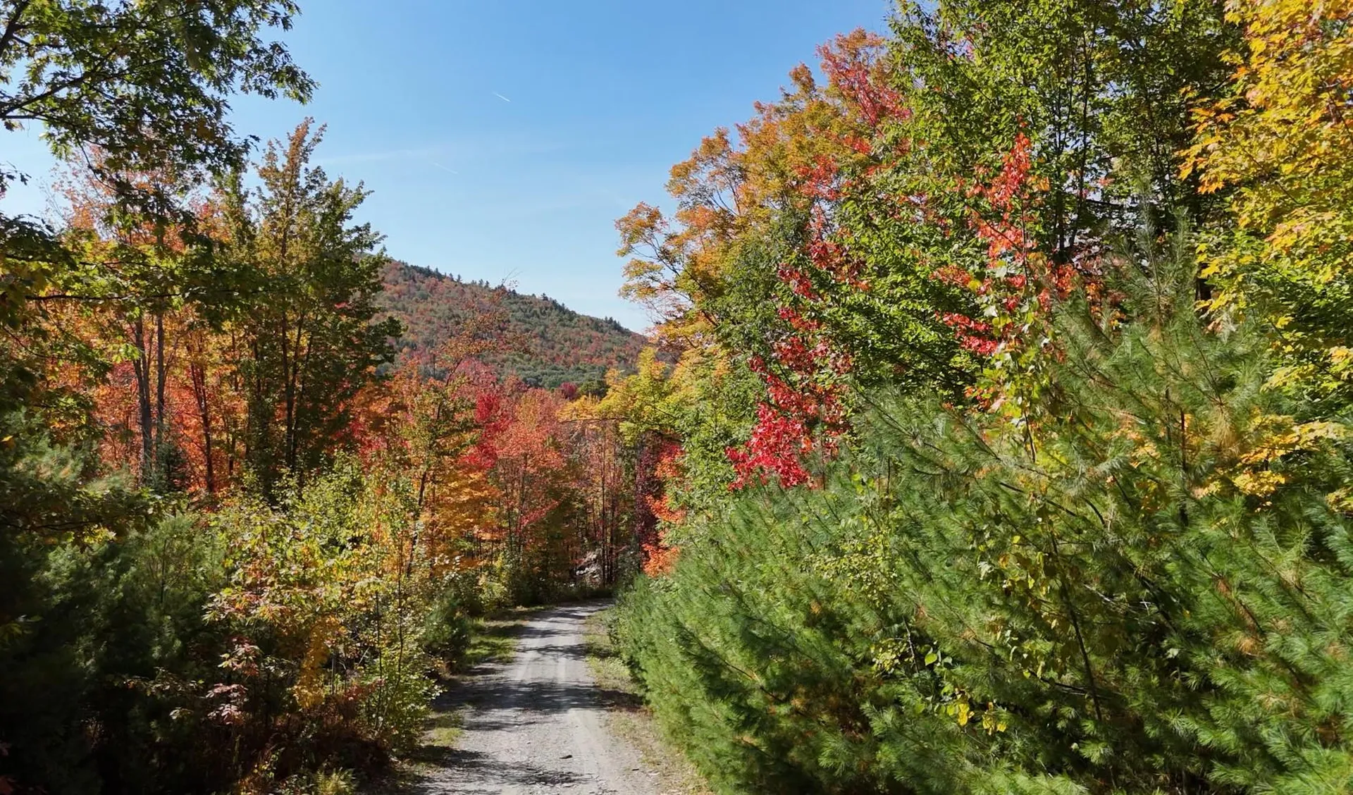 Row Off Daniels Farm Road Waterford VT 05819