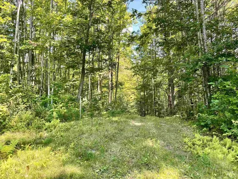 Row Off Daniels Farm Road Waterford VT 05819