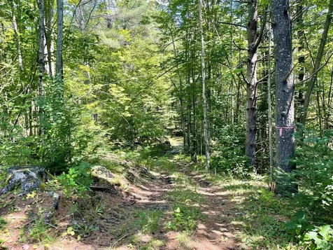 Row Off Daniels Farm Road Waterford VT 05819