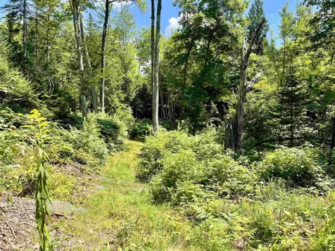 Row Off Daniels Farm Road Waterford VT 05819