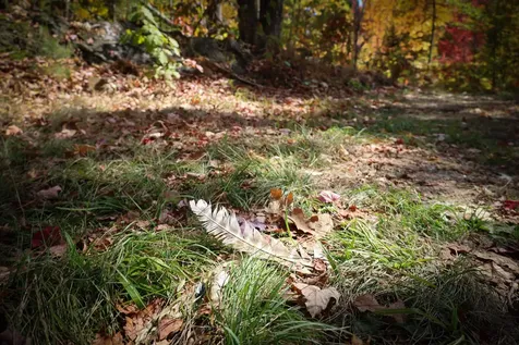 Row Off Daniels Farm Road Waterford VT 05819