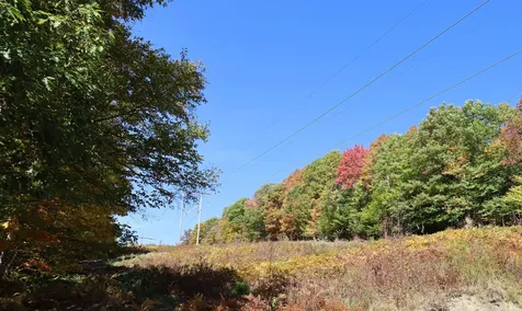 Row Off Daniels Farm Road Waterford VT 05819
