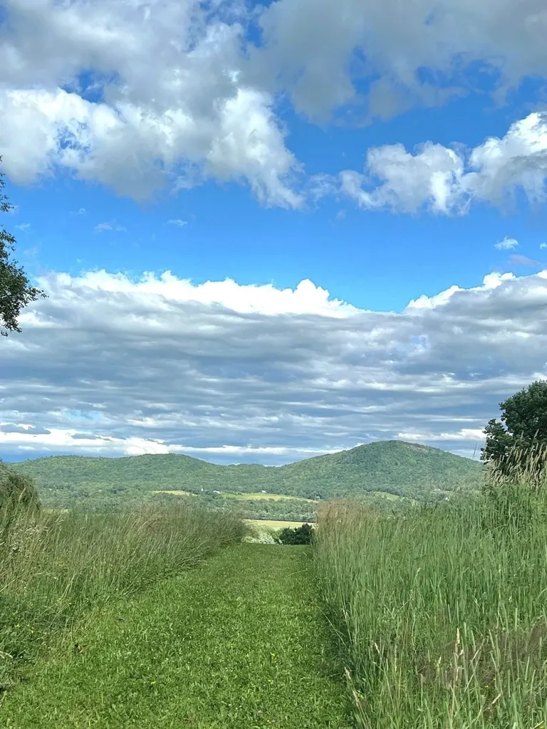 1624 Hopkins Road Panton VT 05491